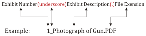 Exhibit Naming Convention